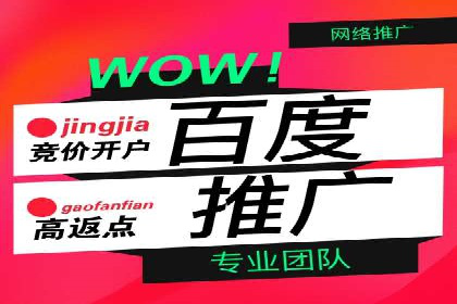 百度竞价推广案例：打造品牌影响力