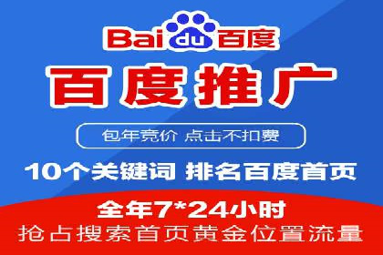 某企业SEM广告投放的ROI提升策略及效果展示